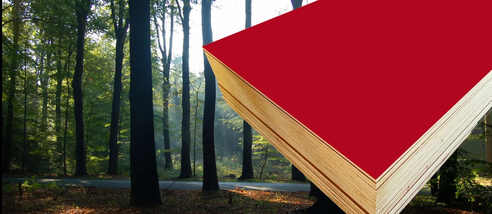 Film Face (Shuttering) Plywood